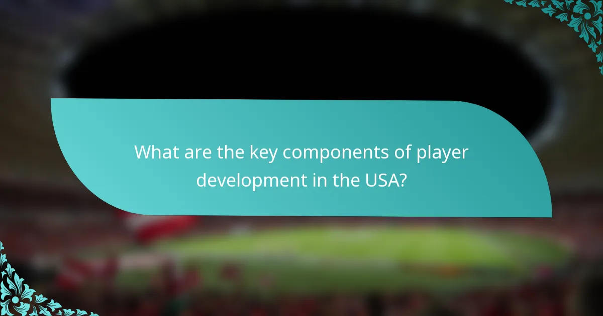 What are the key components of player development in the USA?